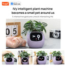 Maceta inteligente con IA: cultiva plantas fácilmente con tecnología Tuya